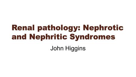 Renal pathology: Nephrotic and Nephritic Syndromes John Higgins.