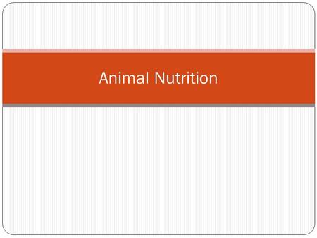 Animal Nutrition.