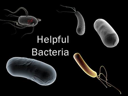 Helpful Bacteria.