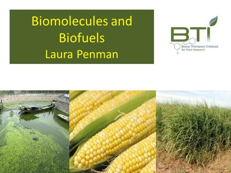 Biomolecules and Biofuels Laura Penman. Q. Why Biofuel?