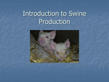 Introduction to Swine Production