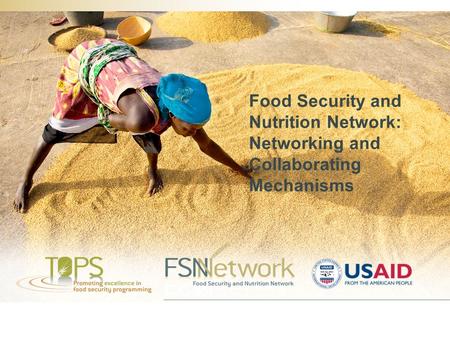 Food Security and Nutrition Network: Networking and Collaborating Mechanisms.