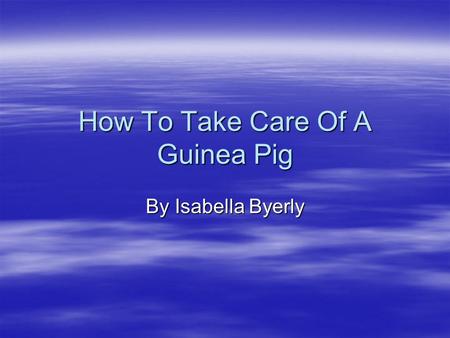 How To Take Care Of A Guinea Pig