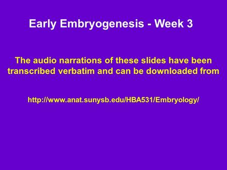 Early Embryogenesis - Week 3