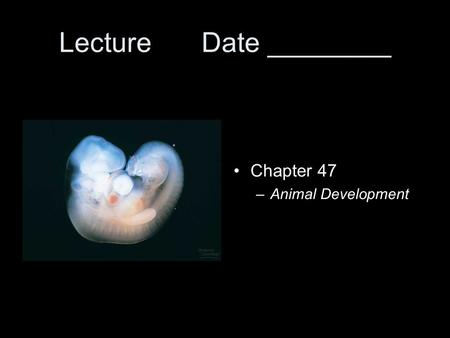 Lecture Date ________ Chapter 47 –Animal Development.