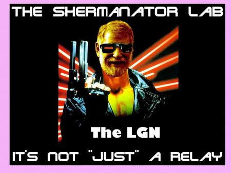 The LGN.