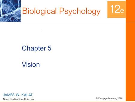 © Cengage Learning 2016 Chapter 5 Vision. © Cengage Learning 2016 Sensation and Perception Sensation –Ability to detect and encode information –Raw data.