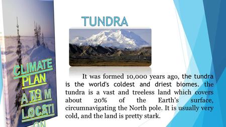 It was formed 10,000 years ago, the tundra is the world's coldest and driest biomes. the tundra is a vast and treeless land which covers about 20% of the.