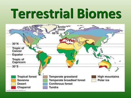 Terrestrial Biomes.