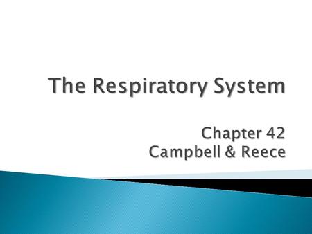 The Respiratory System Chapter 42 Campbell & Reece