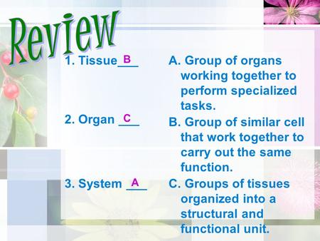 1. Tissue___ 2. Organ ___ 3. System ___ A. Group of organs working together to perform specialized tasks. C. Groups of tissues organized into a structural.