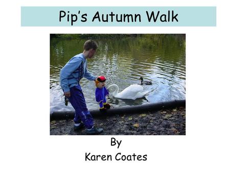 Pip’s Autumn Walk By Karen Coates. It is October. Pip and his cousin stood on the bridge, looking at the stream, and the flowers that had started to lose.