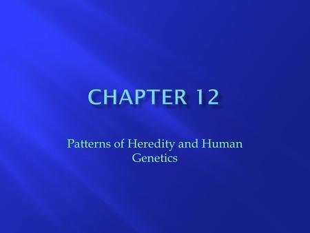 Patterns of Heredity and Human Genetics.  Pedigree – made up of a set of symbols that identify males and females, the individuals affected by a trait.