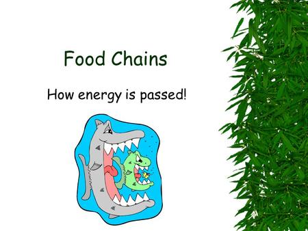 Food Chains How energy is passed! Some animals eat only plants. They eat grass, leaves, tree bark, fruit, nuts, seeds, and parts of flowers. Say the.