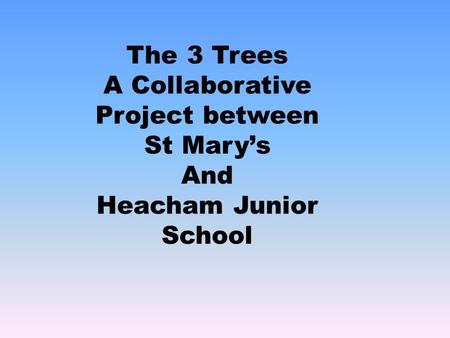 The 3 Trees A Collaborative Project between St Mary’s And Heacham Junior School.