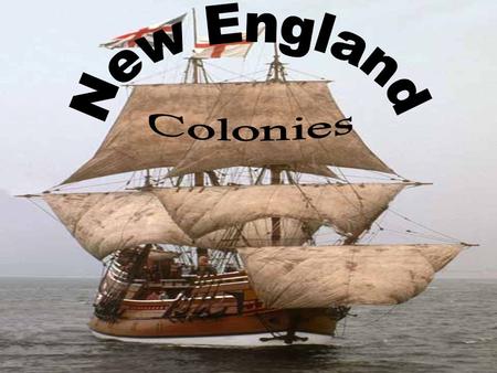 The Pilgrims were Separatists who wanted to leave the Church of England They wanted to be left alone to worship and practice their faith The Virginia.