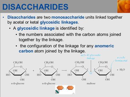 DISACCHARIDES Disaccharides are two monosaccharide units linked together by acetal or ketal glycosidic linkages. A glycosidic linkage is identified by: