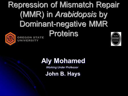 Repression of Mismatch Repair (MMR) in Arabidopsis by Dominant-negative MMR Proteins Aly Mohamed Aly Mohamed Working Under Professor John B. Hays John.