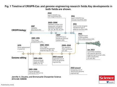 Fig. 1 Timeline of CRISPR-Cas and genome engineering research fields