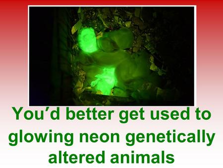 You’d better get used to glowing neon genetically altered animals.