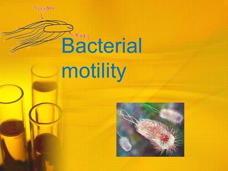 Bacterial motility. Objectives : To gain expertise in determining the motility of living bacteria. To learn about the different methods of motilty determination.