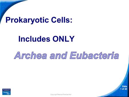 Slide 1 of 40 Prokaryotic Cells: Includes ONLY Copyright Pearson Prentice Hall.