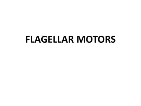 FLAGELLAR MOTORS.