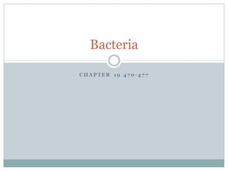 CHAPTER 19 470-477 Bacteria. Classifying Prokaryotes Divided into two different groups: 1. Eubacteria Larger of the 2 domains Live almost everywhere Cell.