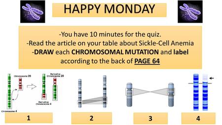 DeletionInversion Duplication Translocation HAPPY MONDAY 1 2 34 -You have 10 minutes for the quiz. -Read the article on your table about Sickle-Cell Anemia.