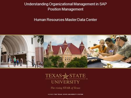 Understanding Organizational Management in SAP Position Management Human Resources Master Data Center.