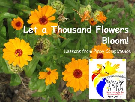 Let a Thousand Flowers Bloom! Lessons from Pinoy Competence.