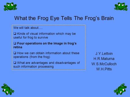 What the Frog Eye Tells The Frog’s Brain