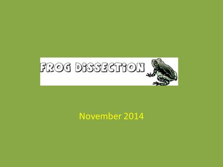 November 2014. Lab Safety Always wear safety goggles, apron and gloves Always wash hands and lab area when finished dissection. Irresponsible behaviour.