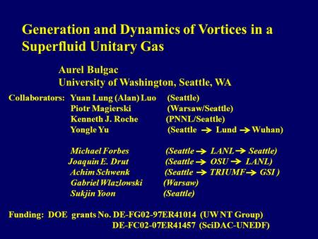 Aurel Bulgac University of Washington, Seattle, WA Collaborators: Yuan Lung (Alan) Luo (Seattle) Piotr Magierski (Warsaw/Seattle) Piotr Magierski (Warsaw/Seattle)