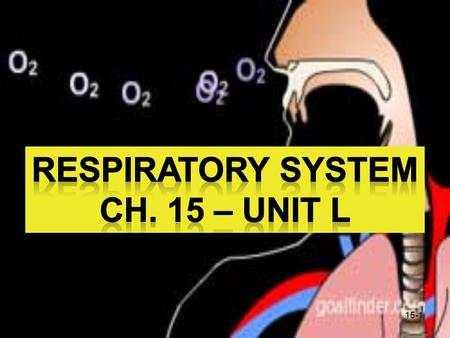 15-1. 15-2 What Is Respiration ? RESPIRATION – The process of allowing gas exchange. The respiratory system works with the cardiovascular system to exchange.