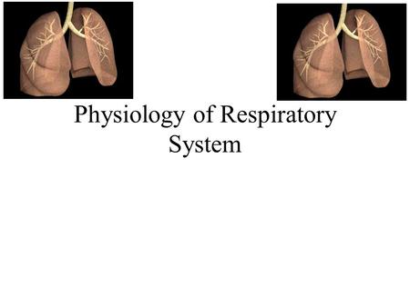 Physiology of Respiratory System