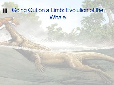 Going Out on a Limb: Evolution of the Whale. Creodont, 50 million years ago The creodont doesn’t look much like a whale, but 50 million years ago this.