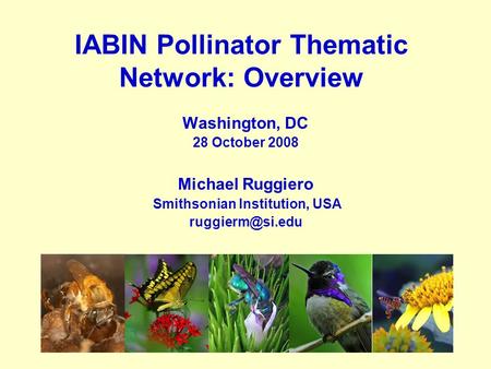 IABIN Pollinator Thematic Network: Overview Washington, DC 28 October 2008 Michael Ruggiero Smithsonian Institution, USA