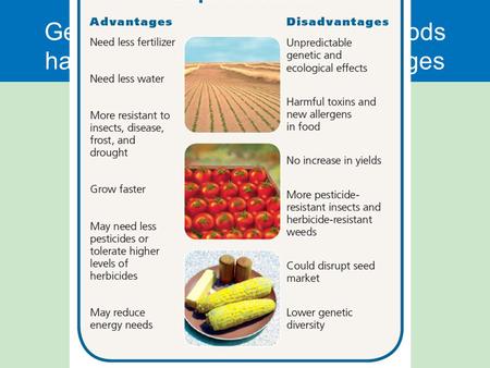 Genetically modified crops and foods have advantages and disadvantages.