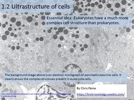 1.2 Ultrastructure of cells