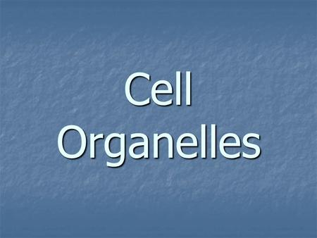 Cell Organelles. organelle organelle - structures within a cell that have certain jobs to do for the cell. organelle - structures within a cell that have.