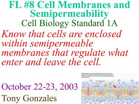 FL #8 Cell Membranes and Semipermeability Know that cells are enclosed within semipermeable membranes that regulate what enter and leave the cell. Cell.