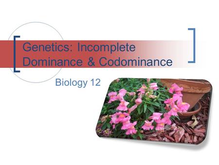 Genetics: Incomplete Dominance & Codominance Biology 12.