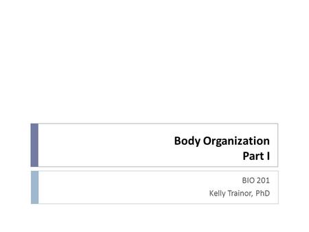 Body Organization Part I BIO 201 Kelly Trainor, PhD.