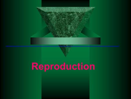 Reproduction. Human Reproduction Puberty Rules during presentation The students should keep a journal. When you see this symbol students should use their.