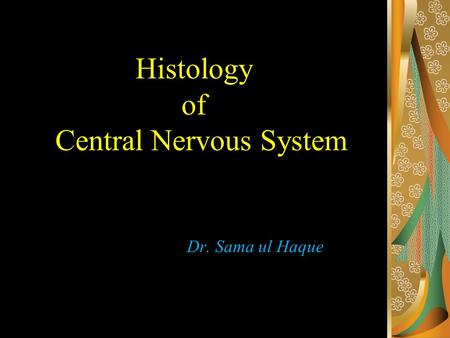 Histology of Central Nervous System Dr. Sama ul Haque.