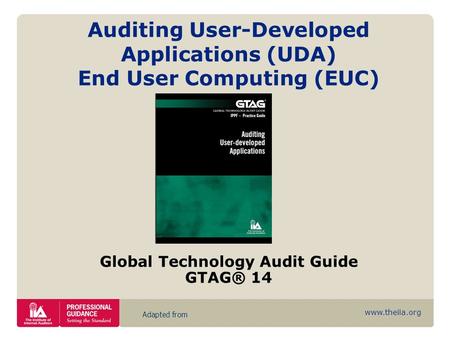 Www.theiia.org Adapted from Auditing User-Developed Applications (UDA) End User Computing (EUC) Global Technology Audit Guide GTAG® 14.