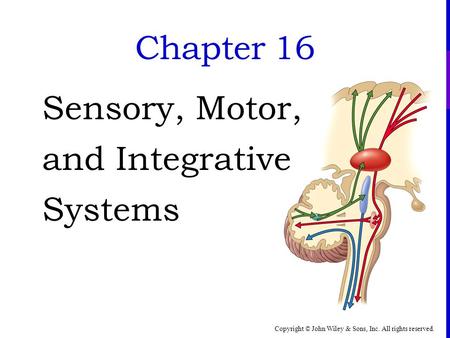 Sensory, Motor, and Integrative Systems