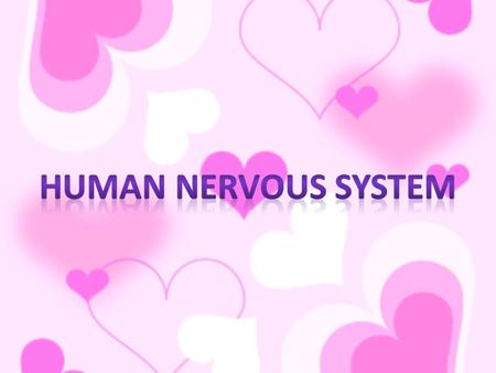 What is the nervous system? Communication and controlling device. Consists of: the brain – the spinal cord – nerves.