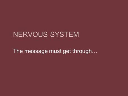 NERVOUS SYSTEM The message must get through…. Functions Control and coordinate functions of the body Respond to internal and external stimuli.